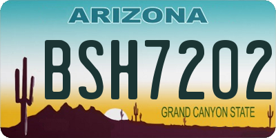 AZ license plate BSH7202