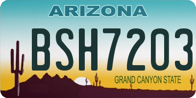 AZ license plate BSH7203