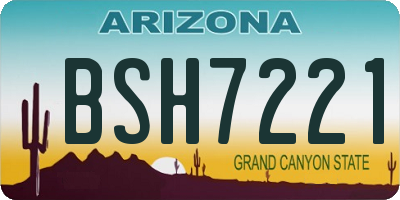 AZ license plate BSH7221