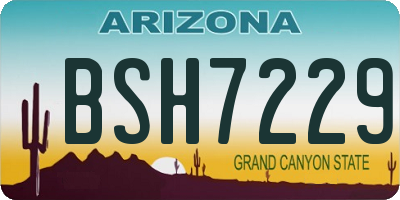 AZ license plate BSH7229