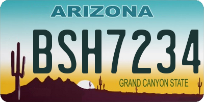 AZ license plate BSH7234