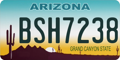 AZ license plate BSH7238