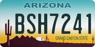 AZ license plate BSH7241