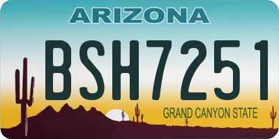 AZ license plate BSH7251