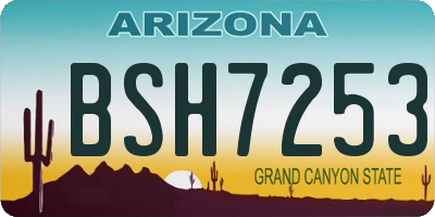 AZ license plate BSH7253
