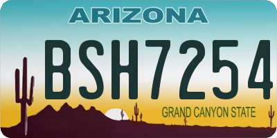 AZ license plate BSH7254