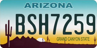 AZ license plate BSH7259