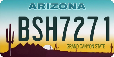 AZ license plate BSH7271