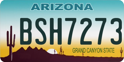 AZ license plate BSH7273