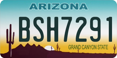 AZ license plate BSH7291