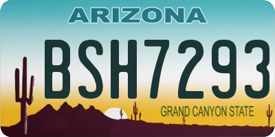 AZ license plate BSH7293