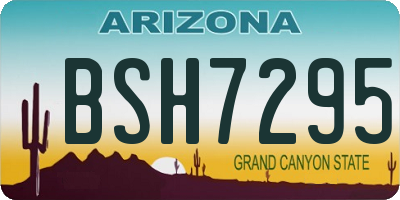 AZ license plate BSH7295