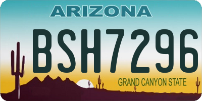 AZ license plate BSH7296