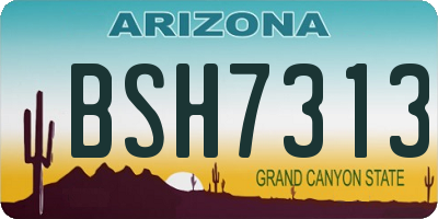 AZ license plate BSH7313