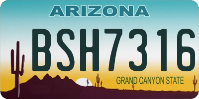 AZ license plate BSH7316