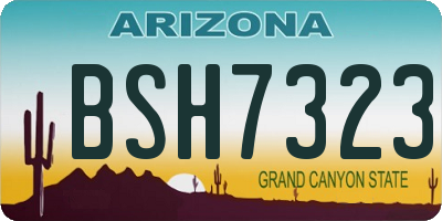 AZ license plate BSH7323