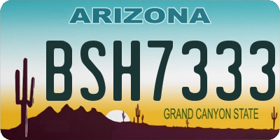 AZ license plate BSH7333