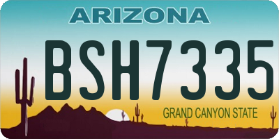 AZ license plate BSH7335