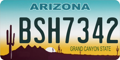 AZ license plate BSH7342