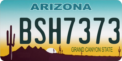 AZ license plate BSH7373