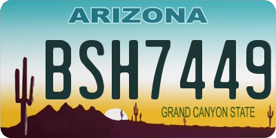 AZ license plate BSH7449