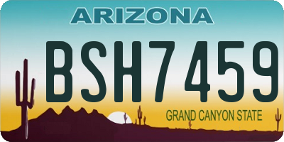 AZ license plate BSH7459