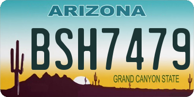 AZ license plate BSH7479