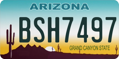 AZ license plate BSH7497