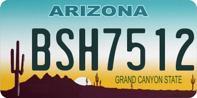 AZ license plate BSH7512