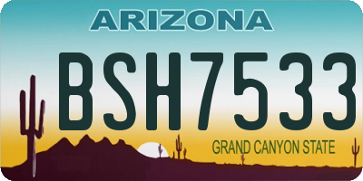 AZ license plate BSH7533