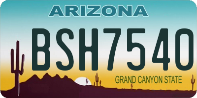 AZ license plate BSH7540