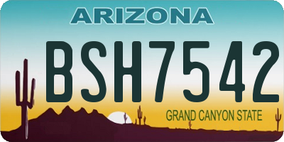 AZ license plate BSH7542