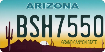 AZ license plate BSH7550