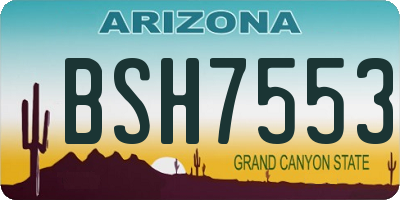 AZ license plate BSH7553