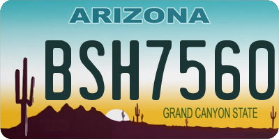 AZ license plate BSH7560