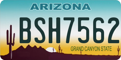 AZ license plate BSH7562