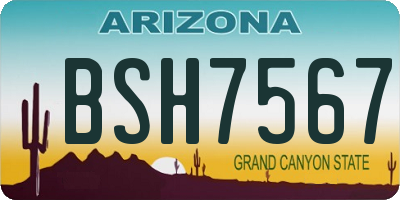 AZ license plate BSH7567