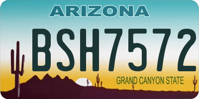 AZ license plate BSH7572