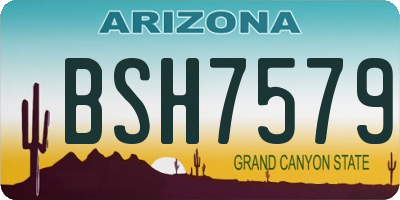 AZ license plate BSH7579