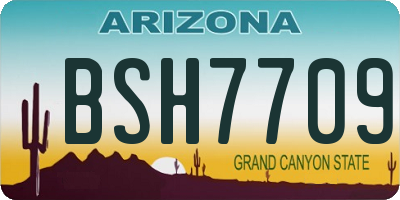 AZ license plate BSH7709