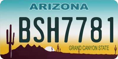 AZ license plate BSH7781