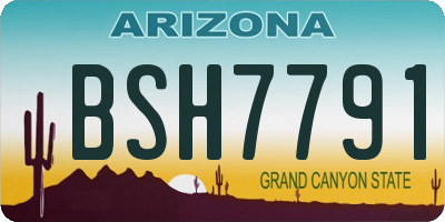 AZ license plate BSH7791