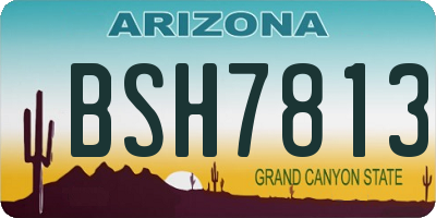 AZ license plate BSH7813