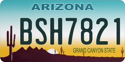 AZ license plate BSH7821