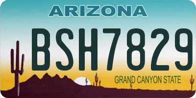 AZ license plate BSH7829