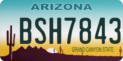 AZ license plate BSH7843