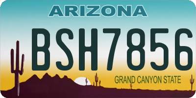 AZ license plate BSH7856