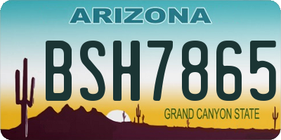 AZ license plate BSH7865