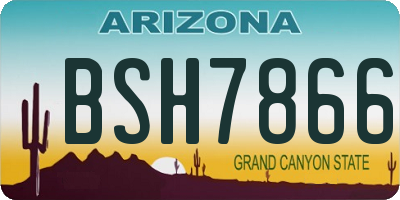 AZ license plate BSH7866