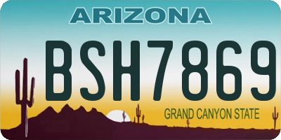 AZ license plate BSH7869